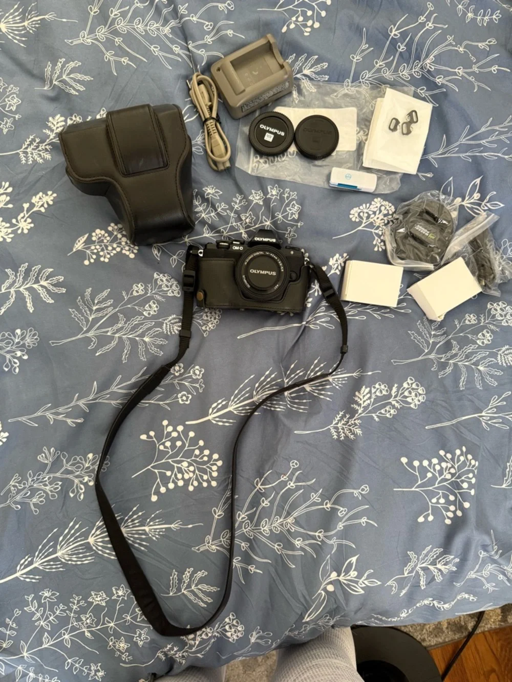 Olympus OM-D E-M10 Mirrorless Digital Camera with 14-42mm F3.5-5.6 Lens